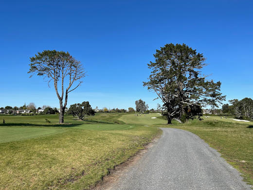 皇家奥克兰格兰奇高尔夫俱乐部 Royal Auckland and Grange Golf Club | 奥克兰高尔夫球场 | 新西兰高尔夫球场俱乐部  | 北岛 商品图3