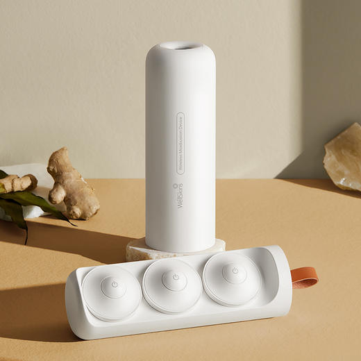 飞利浦艾灸盒 RJ300 白色 （三头） 商品图0