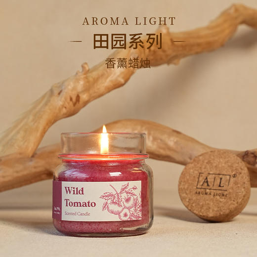 AL美通香薰田园系列香薰蜡烛 商品图4