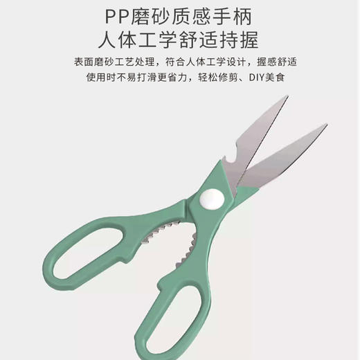 莫妮卡-厨具四件套 商品图1