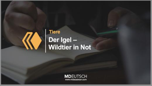 86.【动物】处于困境的野生动物刺猬（MP3） 商品图0