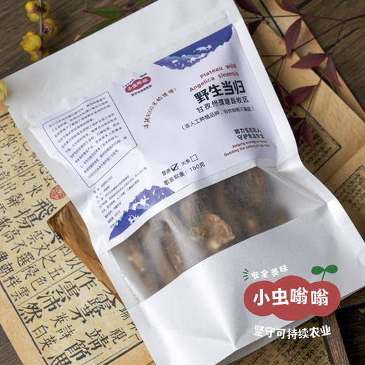 高原野生当归 普通/大条 | 合作农友生产，产自四川甘孜雪山高原，生产者：李建程 &【公平贸易农人定价】 商品图14