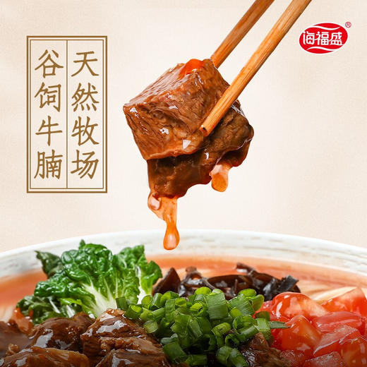 海福盛冻干面/非油炸真材实料/夜宵搭档/6杯6口味组合 商品图10