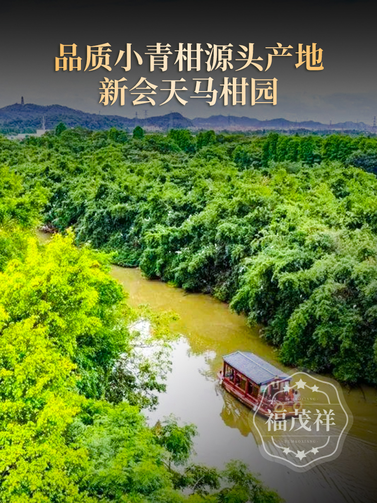 【小青柑】 茶果交融 浓醇甜润 新会天马小青柑皮+三年陈勐海普洱熟茶罐装250g