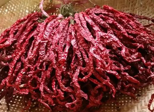 干线椒 商品图0