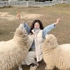 D6227         韩版气质减龄修身显瘦百搭羽绒马甲 商品缩略图1