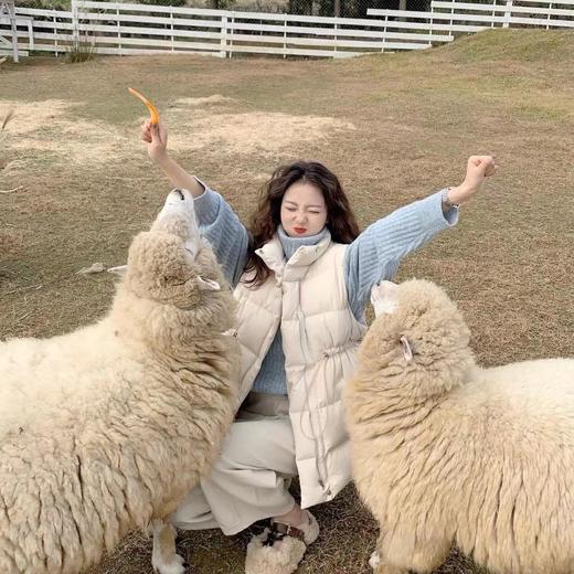 D6227         韩版气质减龄修身显瘦百搭羽绒马甲 商品图1