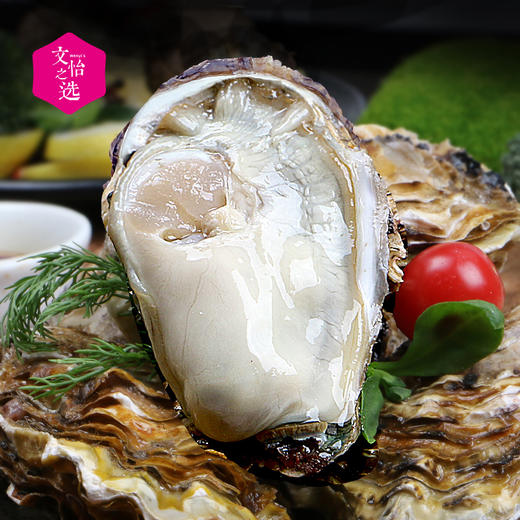 【好吃的】北海湾 乳山生蚝 鲜活海蛎子 牡蛎 现捞现发 个大肉鲜 味道鲜美 商品图2