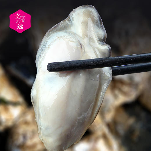 【好吃的】北海湾 乳山生蚝 鲜活海蛎子 牡蛎 现捞现发 个大肉鲜 味道鲜美 商品图3