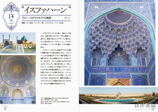 The History of Ornaments and Motifs from Asia and Middle East / 亚洲和中东装饰品和图案的历史 商品图1