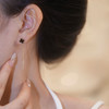 【新潮高级感，轻奢爆款！】四叶草耳线轻奢精致小巧耳钉，高级小众设计感简约气质女，时尚百搭长款链条流苏耳饰！ 商品缩略图5
