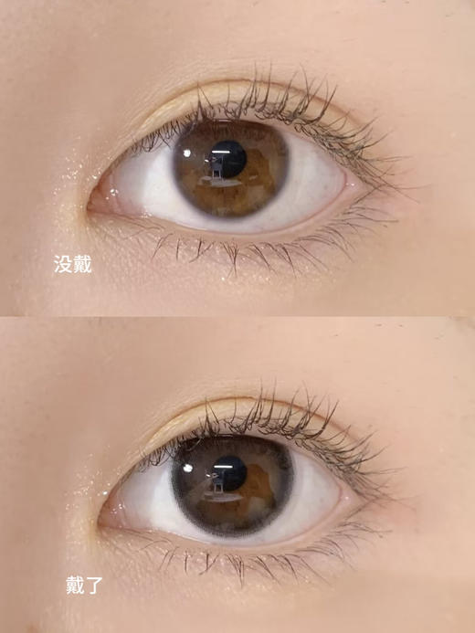 冷雾黑茶 日抛 SIMO 商品图1