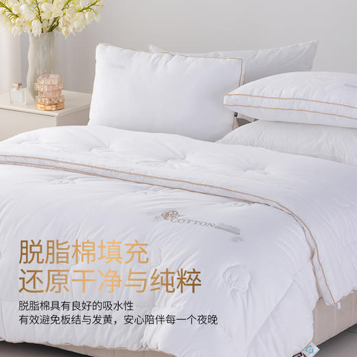 多喜爱 奢暖云柔棉花加厚冬被cs 商品图1