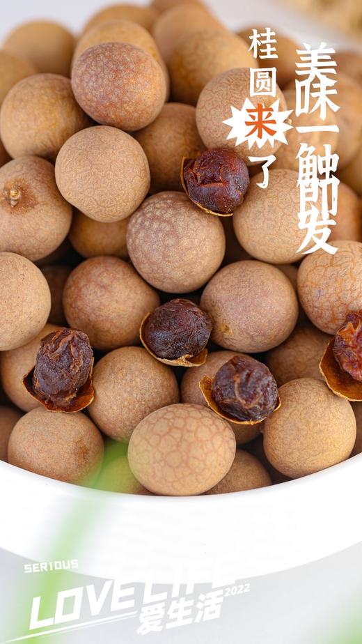 解锁元气满满！【福建桂圆干】来自龙眼之乡 壳薄核小 入口自然 甜而不腻 养生必备 一颗就上瘾~ 商品图5