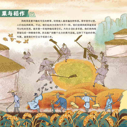 订货会赠品-微疵书《奇思妙想一万年》（全4册）附赠超大知识总图 （封面“想”字印刷错误，其他无问题） 商品图3