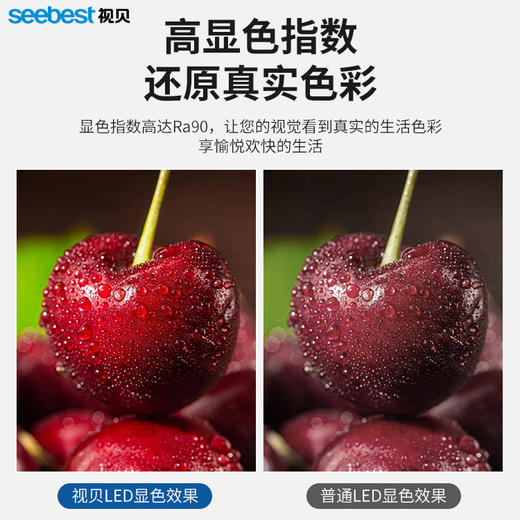 SL闪亮集成光源 商品图4