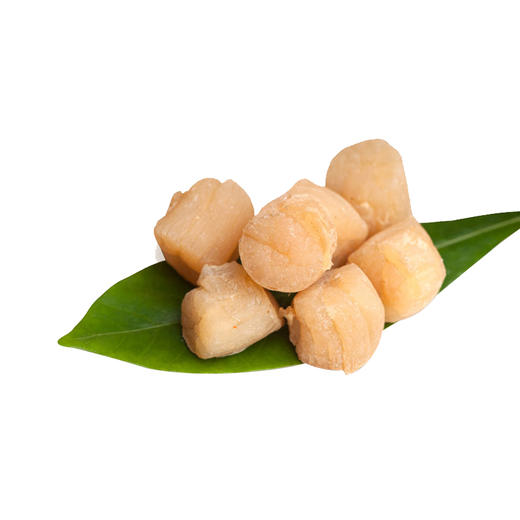 【广西帮扶】阿比该 干贝 250g 商品图6