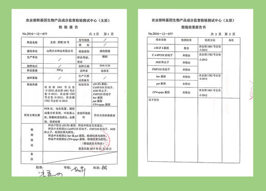 【非转基因 软糯香甜 】【2025年新玉米】东北特产黑糯玉米 8支装/箱 新鲜采摘 锁鲜包装 富含花青素 天然健康 营养丰富 优质早餐粗粮 商品图10