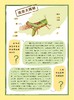 《给孩子的法布尔昆虫记》（彩绘注音版）全10册 商品缩略图14