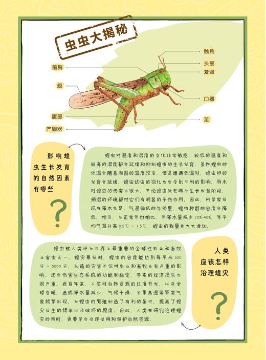 《给孩子的法布尔昆虫记》（彩绘注音版）全10册 商品图14