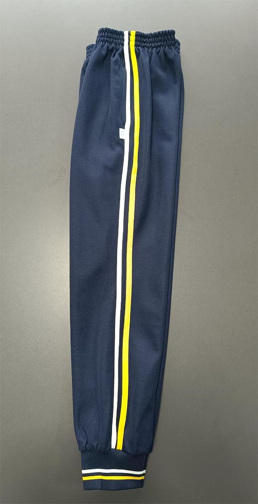 佛山市南海区狮山镇小塘中心小学 商品图3