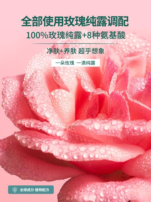 安茹玫瑰氨基酸洁面慕斯/160ml 商品图4