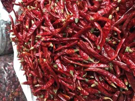 干辣椒 商品图0