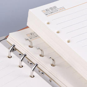 申士（SHEN SHI）A5活页本笔记本子替换芯 适合6孔25开活页记事本子优质米黄色纸92张 横线款925