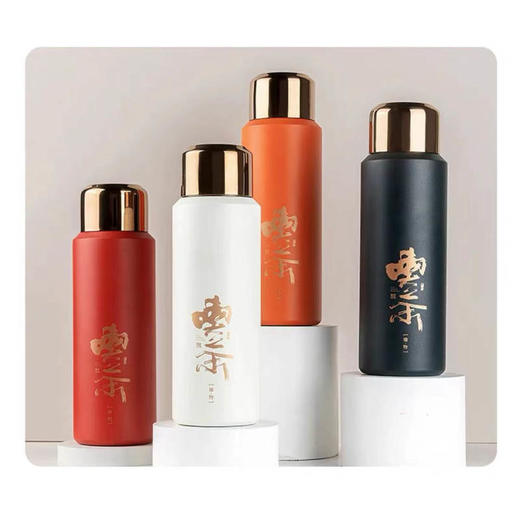 【直送到家】620ml米索随行焖茶杯 茶水分离 久焖醇香 商品图0