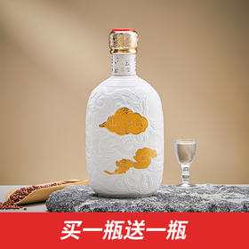 【单瓶】甘肃金徽酒 52度山水金徽·云 浓香型白酒