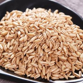 散1k ±5g 瑞和泰散称燕麦仁  散称南北货