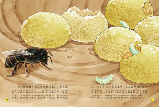《给孩子的法布尔昆虫记》（彩绘注音版）全10册 商品图13