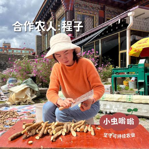 高原野生当归 普通/大条 | 合作农友生产，产自四川甘孜雪山高原，生产者：李建程 &【公平贸易农人定价】 商品图3