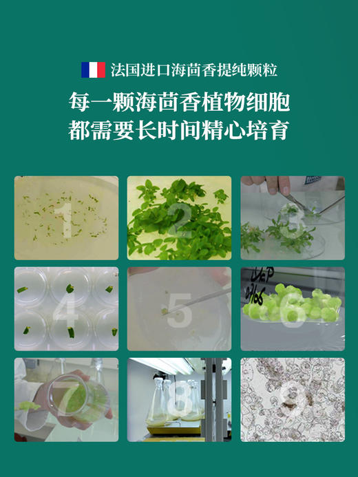 【拍二发三】海茴香原生精华液/50ml  强肌底！修屏障！抗初老！焕亮肤色，润护保湿，细嫩肌肤！ 商品图3