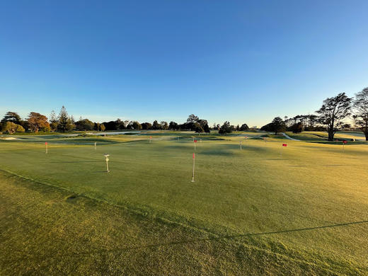 皇家奥克兰格兰奇高尔夫俱乐部 Royal Auckland and Grange Golf Club | 奥克兰高尔夫球场 | 新西兰高尔夫球场俱乐部  | 北岛 商品图4