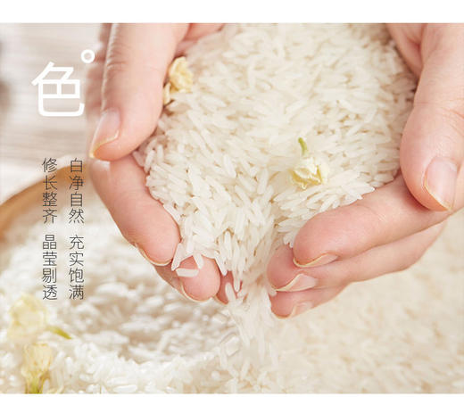 【仅供集采】百丈泉大米和油（于都） 商品图2