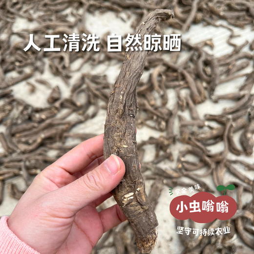 高原野生当归 普通/大条 | 合作农友生产，产自四川甘孜雪山高原，生产者：李建程 &【公平贸易农人定价】 商品图4