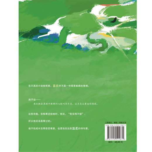 甜氧 人气作者殊娓继《长街》后又一高口碑作品，张郁青×秦晗 商品图5