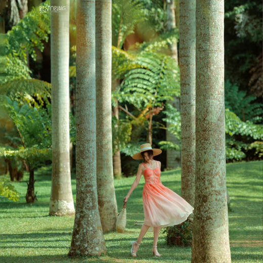 精品 | 奇境雨林·版纳5天4晚 商品图7