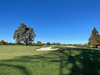 皇家奥克兰格兰奇高尔夫俱乐部 Royal Auckland and Grange Golf Club | 奥克兰高尔夫球场 | 新西兰高尔夫球场俱乐部  | 北岛 商品缩略图6