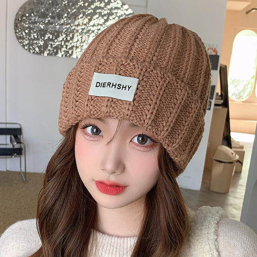女贴标毛线帽1982 商品图0