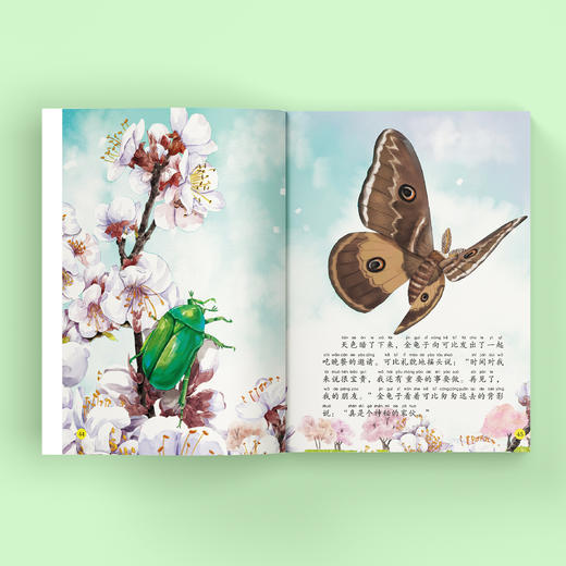 《给孩子的法布尔昆虫记》（彩绘注音版）全10册 商品图2