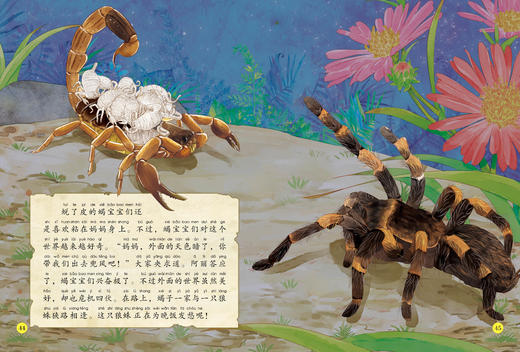 《给孩子的法布尔昆虫记》（彩绘注音版）全10册 商品图12