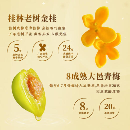 江小白梅见金桂梅酒12度整箱330ml*6瓶 商品图4