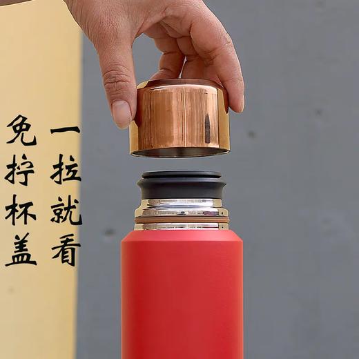 【直送到家】620ml米索随行焖茶杯 茶水分离 久焖醇香 商品图3