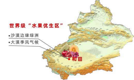 臻如意有机枣圈  专注有机13年  90g/袋 商品图3