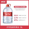才饮长沙水-包装饮用水5L 商品缩略图0