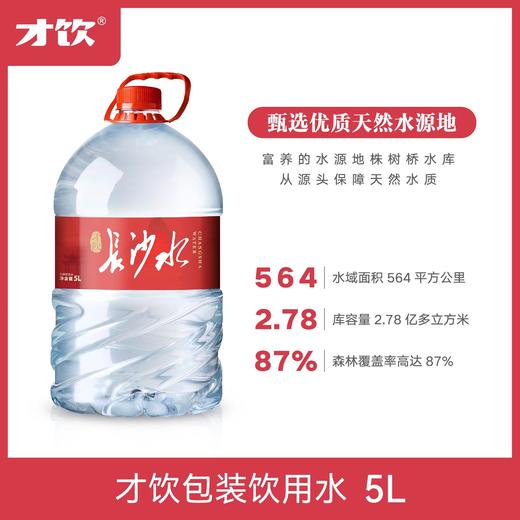 才饮长沙水-包装饮用水5L 商品图0