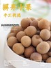 解锁元气满满！【福建桂圆干】来自龙眼之乡 壳薄核小 入口自然 甜而不腻 养生必备 一颗就上瘾~ 商品缩略图2