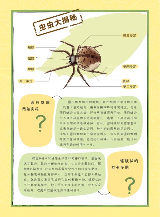 《给孩子的法布尔昆虫记》（彩绘注音版）全10册 商品图10